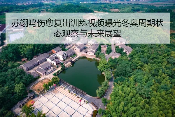 苏翊鸣伤愈复出训练视频曝光冬奥周期状态观察与未来展望